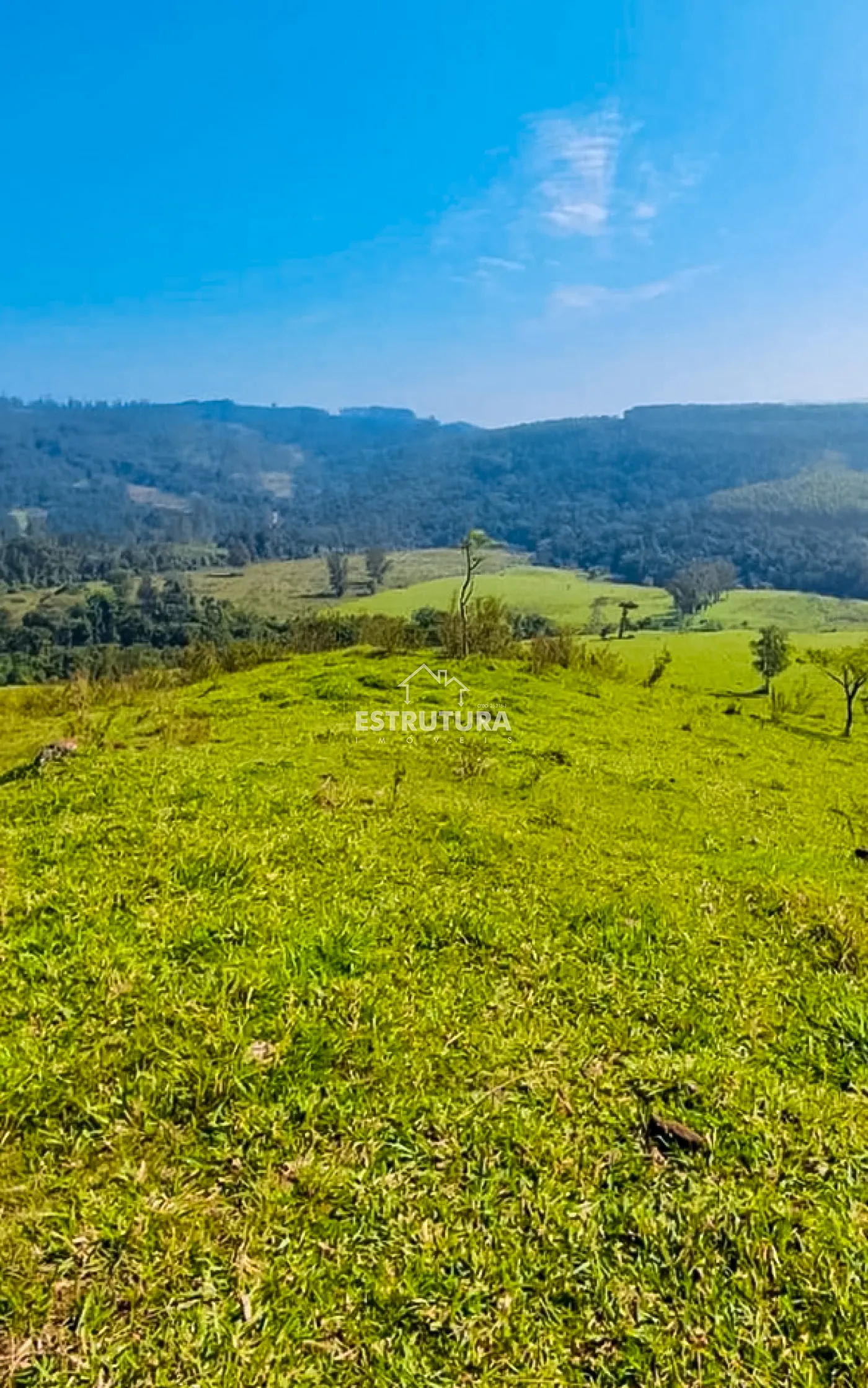 Comprar Rural / S&iacute;tio em Corumbata&iacute; R$ 2.520.000,00 - Foto 3