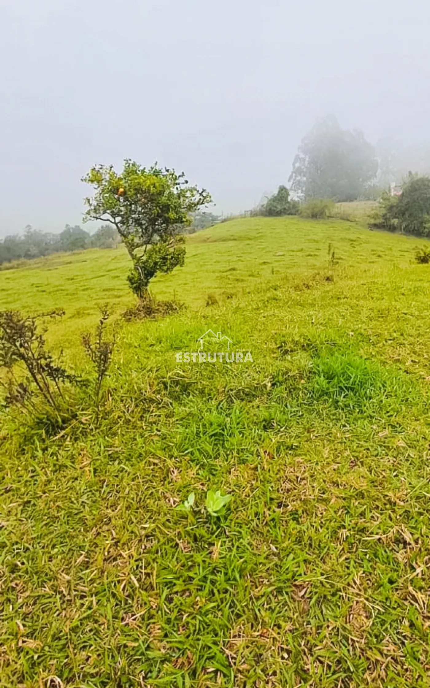 Comprar Rural / S&iacute;tio em Corumbata&iacute; R$ 2.520.000,00 - Foto 6