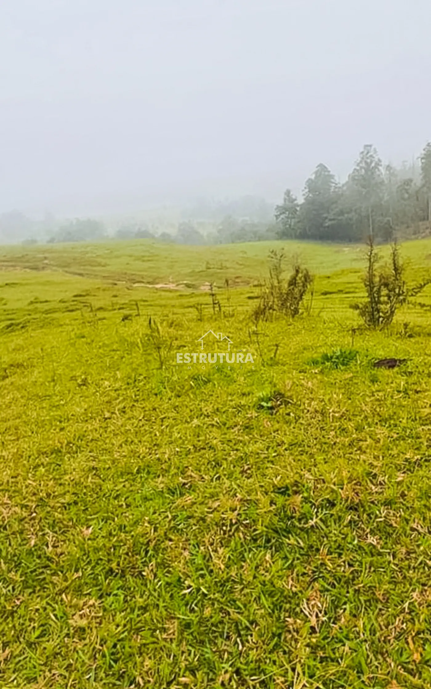 Comprar Rural / S&iacute;tio em Corumbata&iacute; R$ 2.520.000,00 - Foto 9