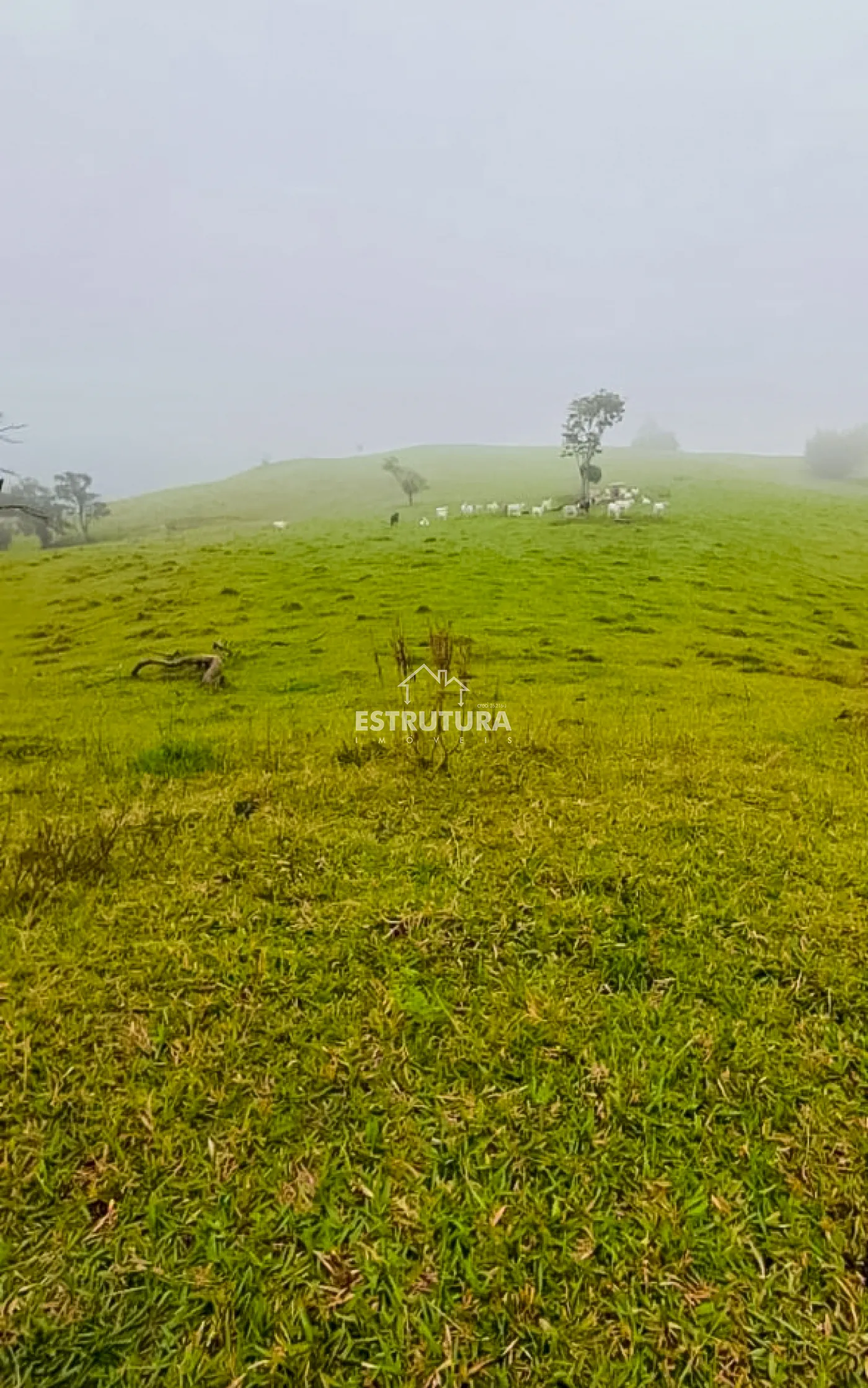 Comprar Rural / S&iacute;tio em Corumbata&iacute; R$ 3.210.000,00 - Foto 4