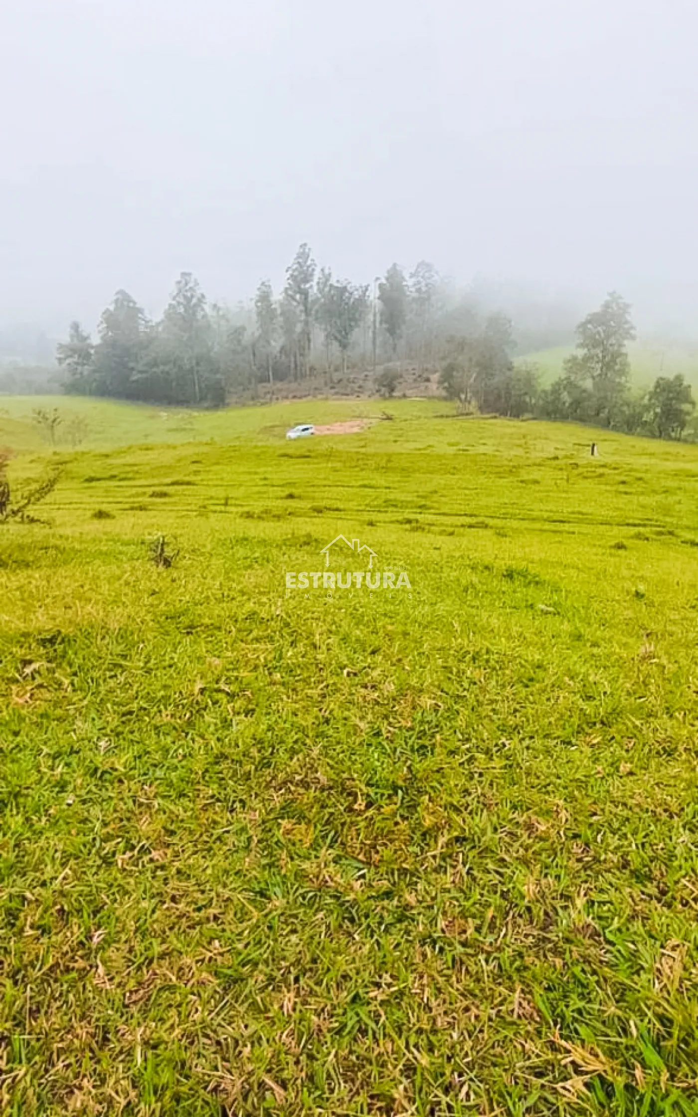 Comprar Rural / S&iacute;tio em Corumbata&iacute; R$ 3.210.000,00 - Foto 7