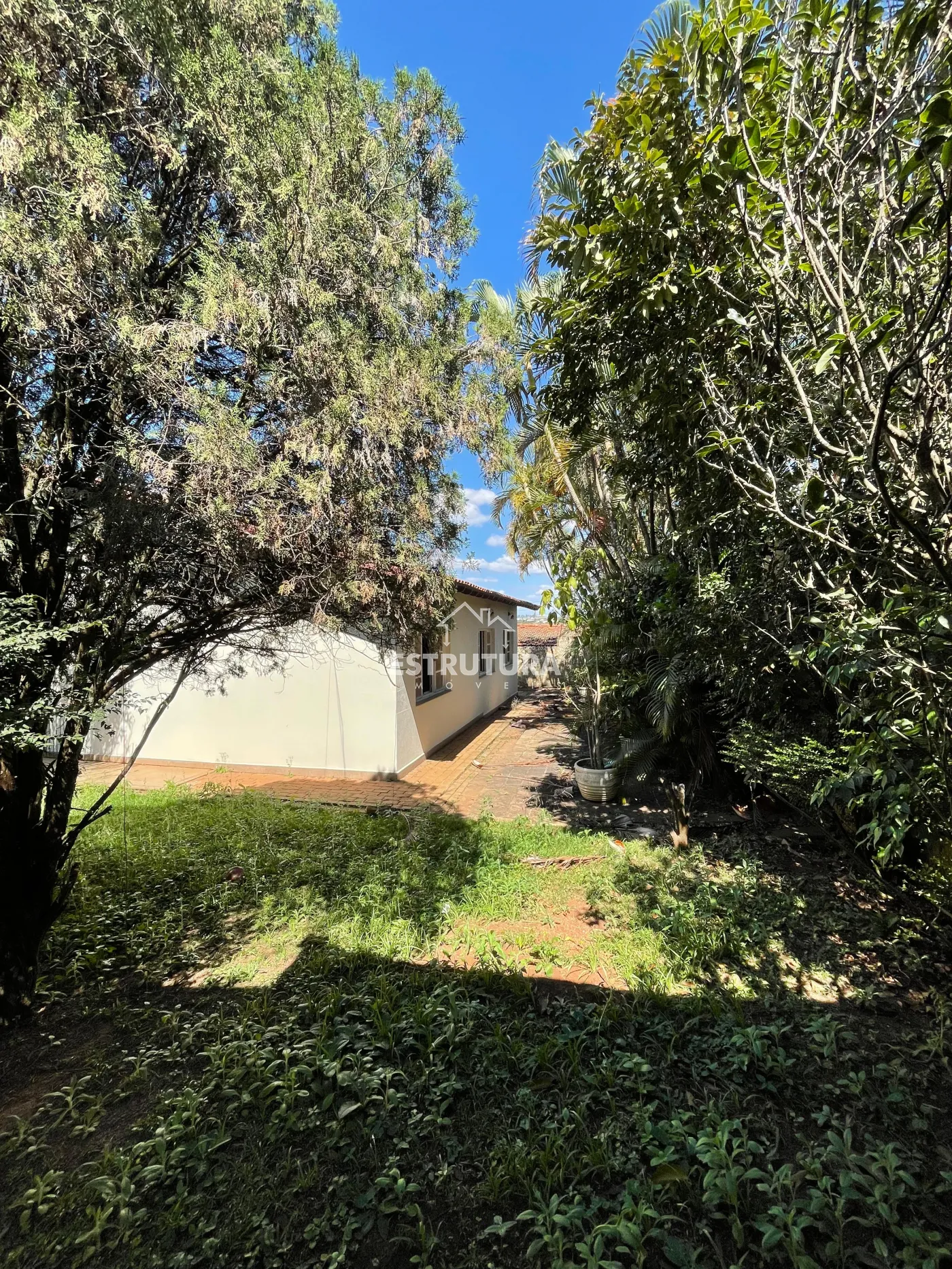 Alugar Casa / Sobrado em Rio Claro R$ 4.100,00 - Foto 5