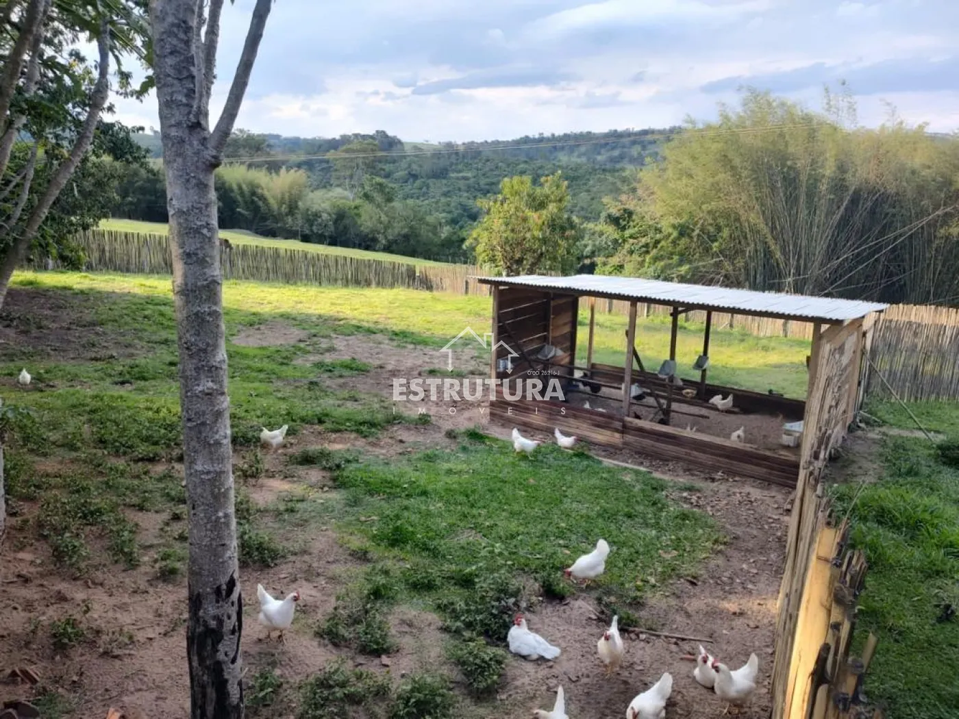Comprar Rural / S&iacute;tio em Corumbata&iacute; R$ 1.100.000,00 - Foto 16