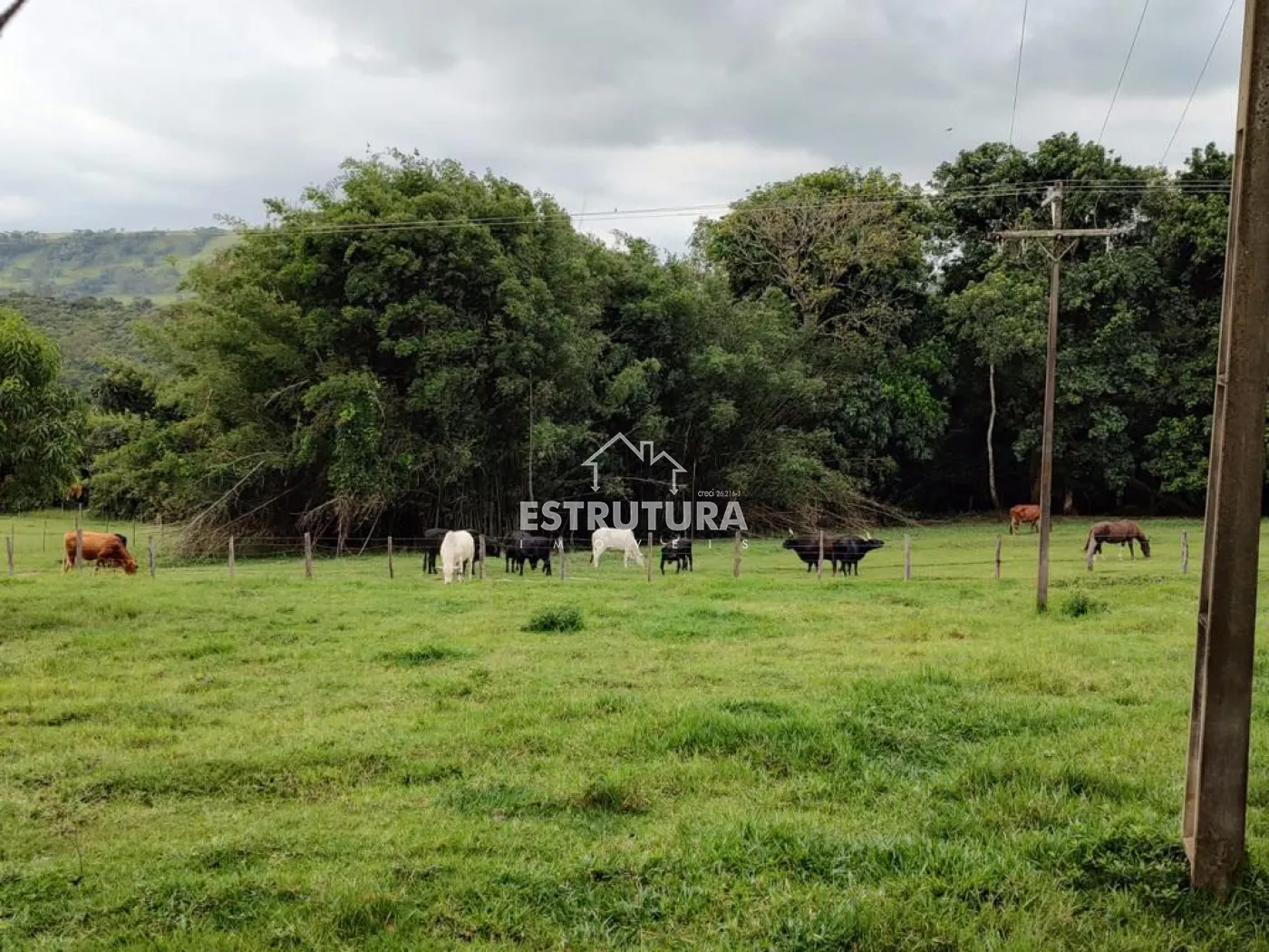 Comprar Rural / S&iacute;tio em Corumbata&iacute; R$ 1.100.000,00 - Foto 21