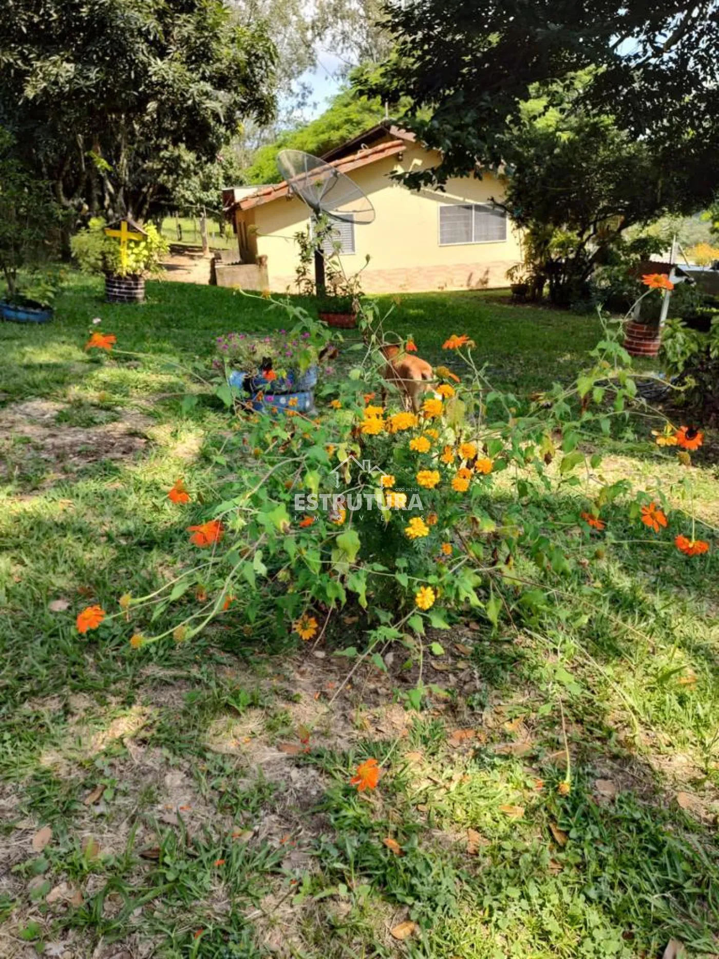 Comprar Rural / S&iacute;tio em Corumbata&iacute; R$ 1.100.000,00 - Foto 25