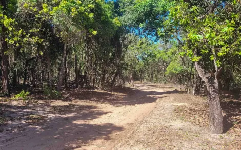 Sao Carlos Itirapina Rural Venda R$12.000.000,00  Area do terreno 2226400.00m2 