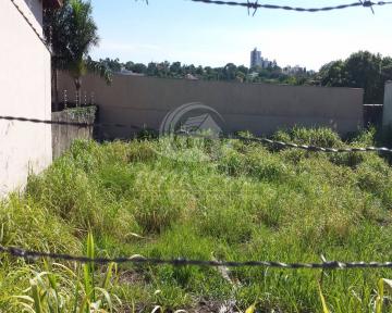 Campinas Nova Campinas Terreno Venda R$725.000,00  Area do terreno 250.00m2 