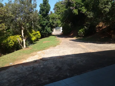 Campinas Sousas Rural Venda R$980.000,00 5 Dormitorios 5 Vagas Area construida 310.00m2