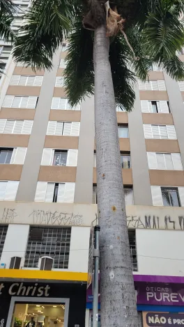 Campinas Centro Apartamento Venda R$235.000,00 Condominio R$500,00 2 Dormitorios  