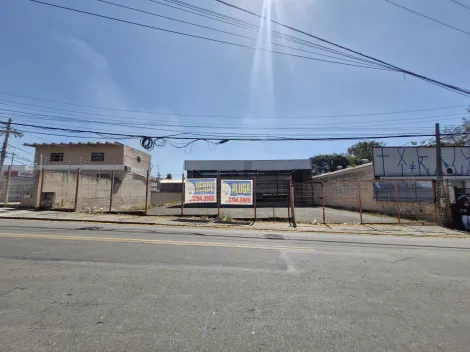 Campinas Jardim das Bandeiras Terreno Locacao R$ 5.500,00  Area do terreno 720.00m2 