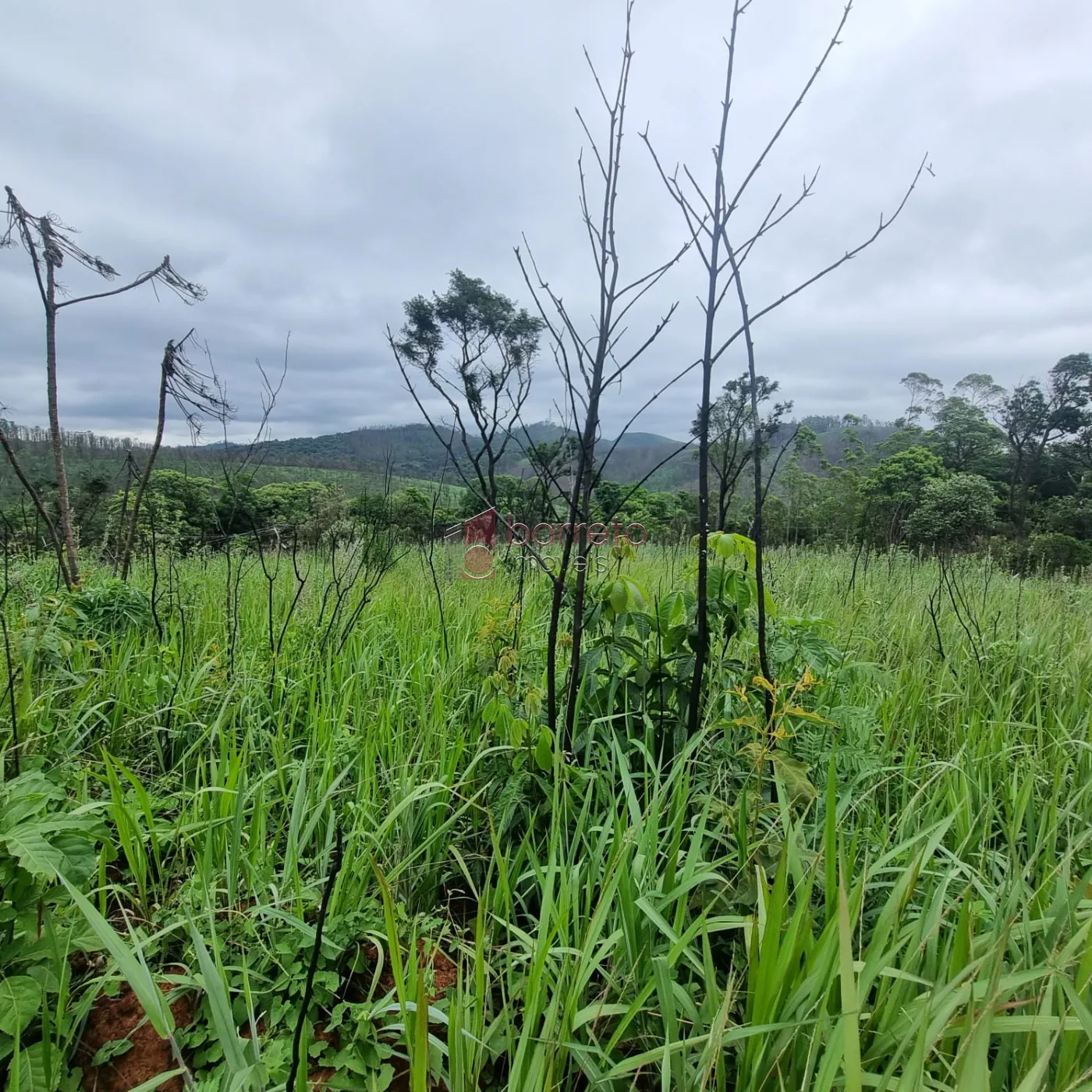 Campo Limpo Paulista Terreno Venda R$480.000,00  Area do terreno 3080.00m2  - foto 3