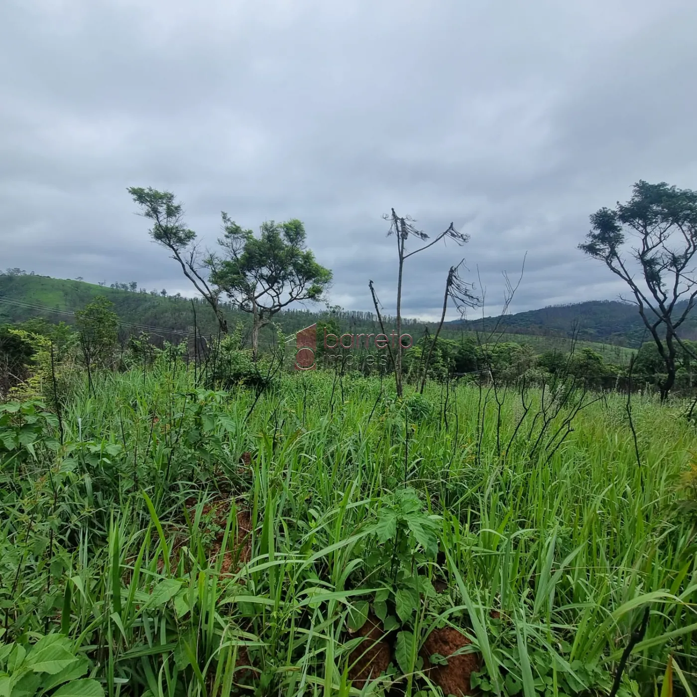 Campo Limpo Paulista Terreno Venda R$480.000,00  Area do terreno 3080.00m2  - foto 2