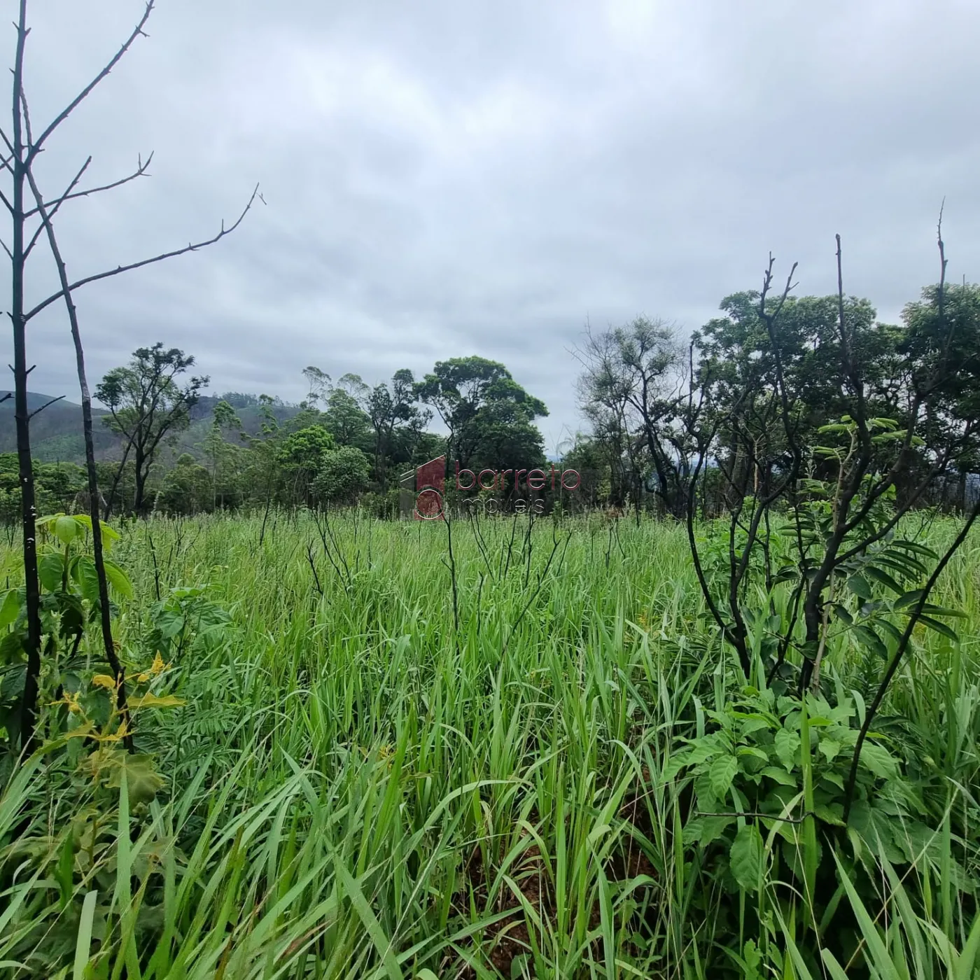 Campo Limpo Paulista Terreno Venda R$480.000,00  Area do terreno 3080.00m2  - foto 4