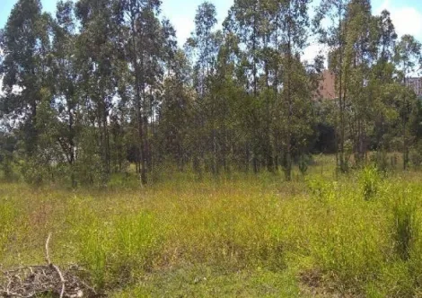 Jundiai Vila Japi II Terreno Venda R$60.000.000,00  Area do terreno 21331.90m2 