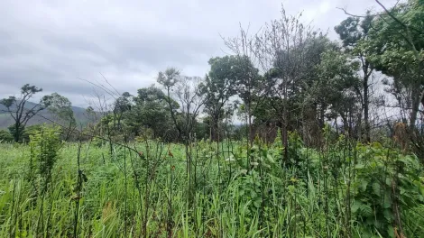 Campo Limpo Paulista Moinho Terreno Venda R$480.000,00  Area do terreno 3080.00m2 