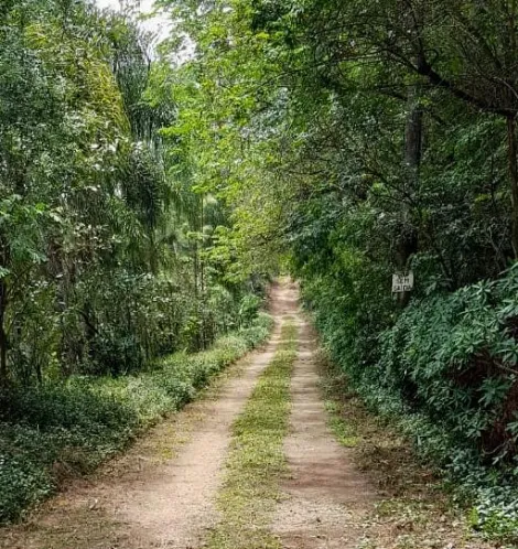 Itupeva Chacaras do Guacuri Terreno Venda R$480.000,00  Area do terreno 8257.00m2 