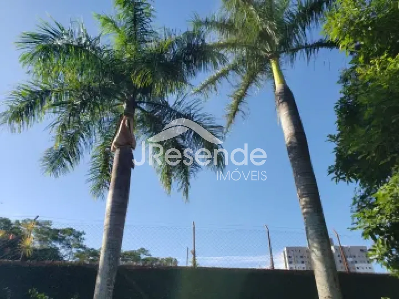 Comprar Casa / Condom&iacute;nio em Ribeir&atilde;o Preto R$ 3.100.000,00 - Foto 38