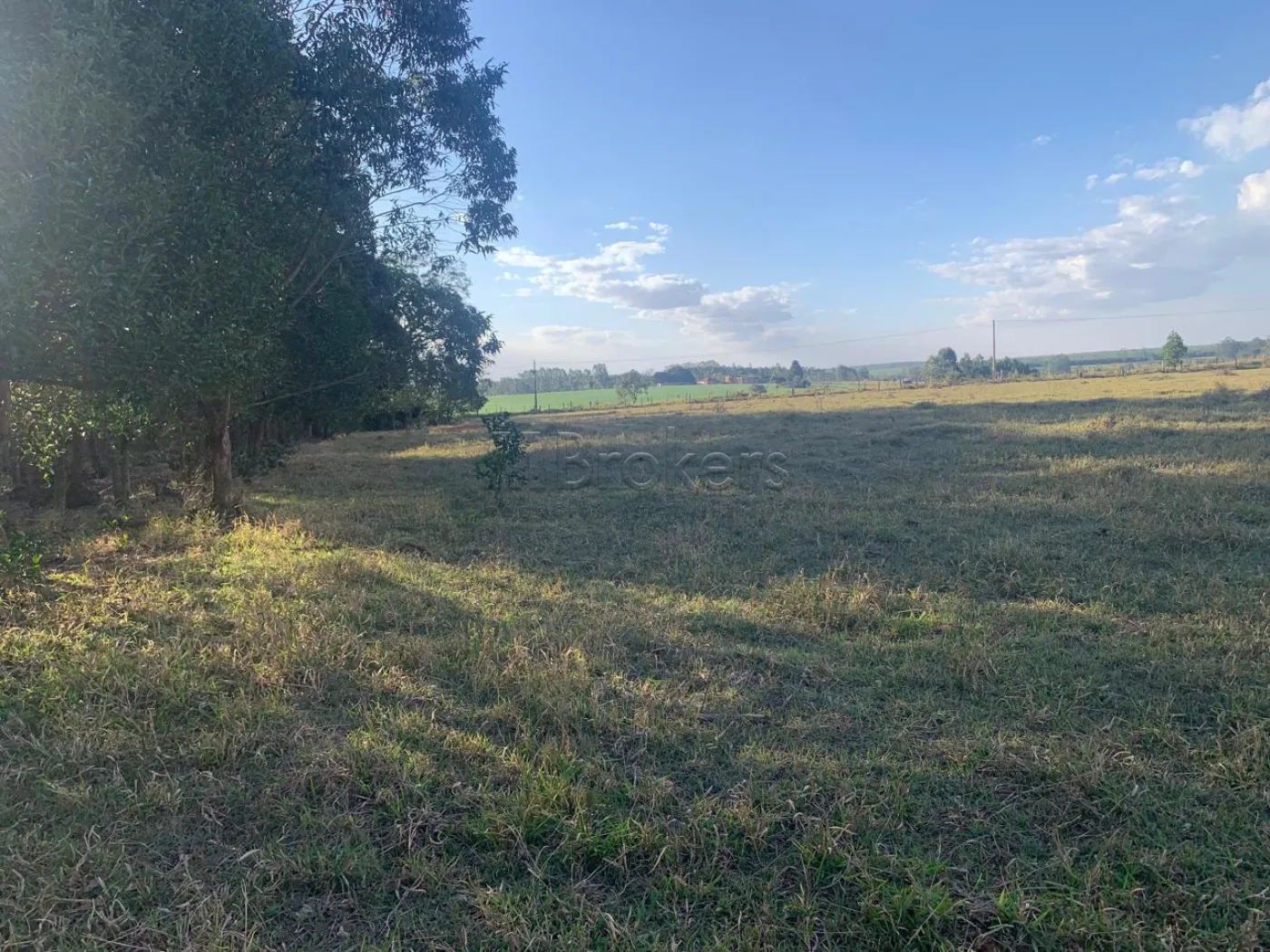 CHÁCARA, 385000 m².