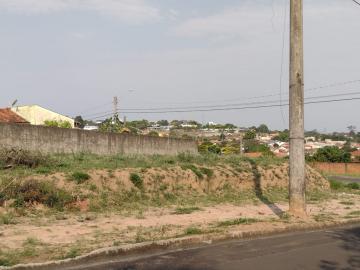 Botucatu Rubiao Junior Terreno Venda R$200.000,00  Area do terreno 600.00m2 