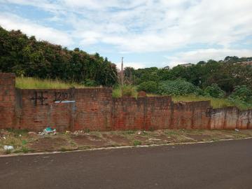 Botucatu Boa Vista Terreno Venda R$170.000,00  Area do terreno 250.00m2 