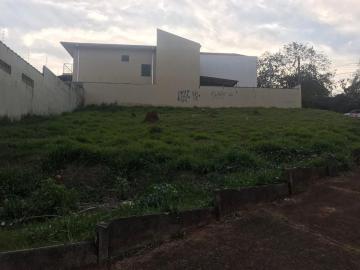 Botucatu Jardim Paraiso Terreno Venda R$300.000,00  Area do terreno 386.64m2 