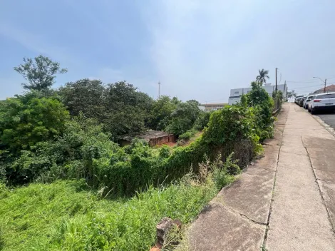 Botucatu Centro Terreno Venda R$600.000,00  Area do terreno 880.00m2 