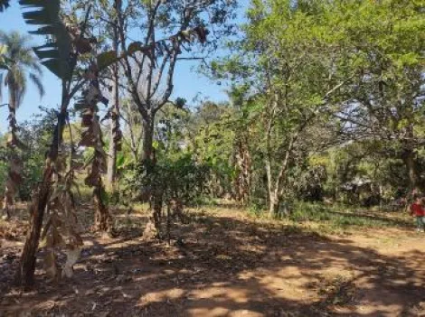 Botucatu Demetria Area Venda R$280.000,00  Area do terreno 3000.00m2 