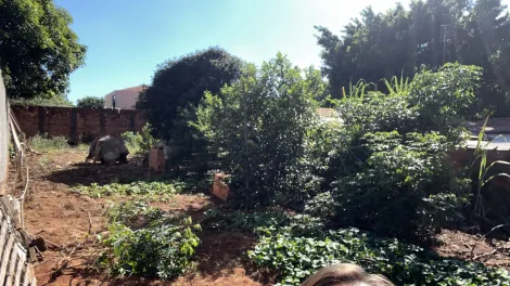 Botucatu Vila Guimaraes Terreno Venda R$320.000,00  Area do terreno 380.00m2 