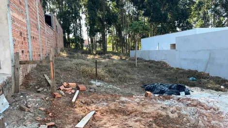 Botucatu Livia Terreno Venda R$110.000,00  Area do terreno 271.86m2 