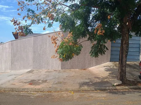 Botucatu Jardim Cambui Casa Venda R$300.000,00 1 Dormitorio 2 Vagas Area do terreno 160.00m2 Area construida 60.00m2