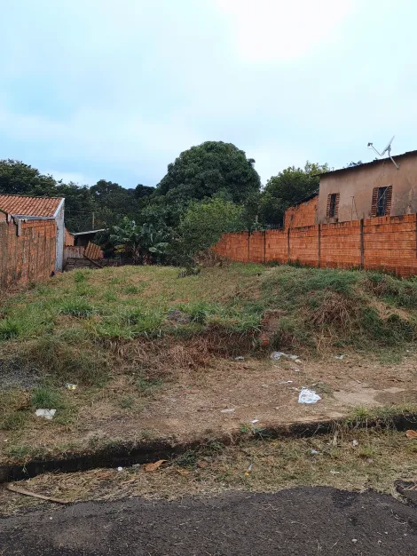 Botucatu Rubiao Junior Terreno Venda R$60.000,00  Area do terreno 250.00m2 