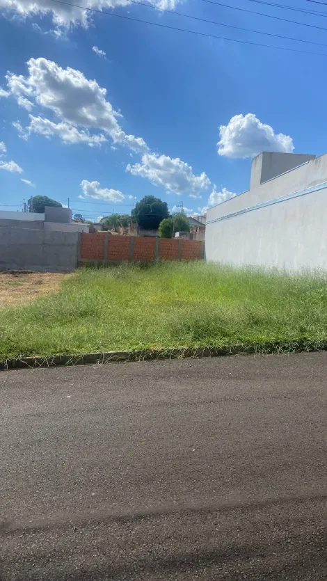 Botucatu Livia Terreno Venda R$120.000,00  Area do terreno 250.00m2 