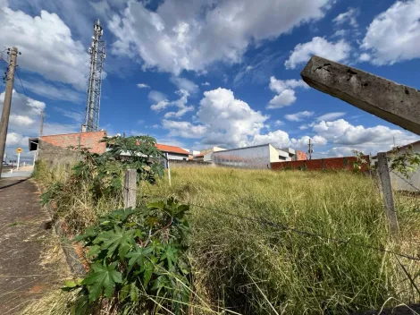Botucatu Jardim Regina Terreno Venda R$120.000,00  Area do terreno 250.00m2 