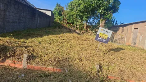 Botucatu Rubiao Junior Terreno Venda R$60.000,00  Area do terreno 250.00m2 