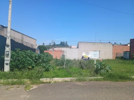 Botucatu Residencial Cedro Terreno Venda R$110.000,00  Area do terreno 250.00m2 