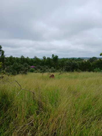 Botucatu Rubiao Junior Terreno Venda R$85.000,00  Area do terreno 250.00m2 