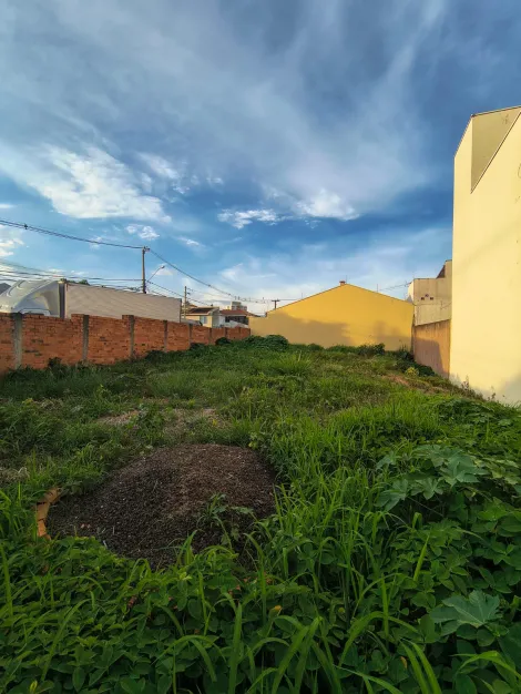 Botucatu Jardim Paraiso Terreno Venda R$350.000,00  Area do terreno 282.00m2 