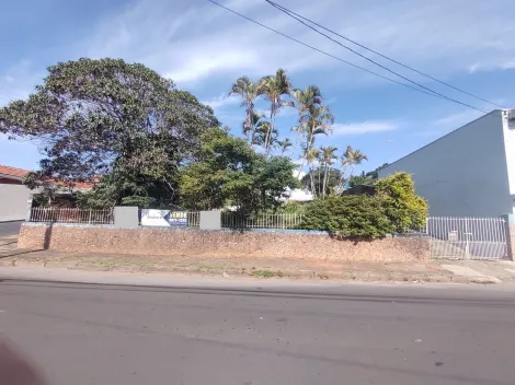 Botucatu Centro Terreno Venda R$650.000,00  Area do terreno 300.00m2 