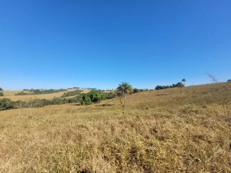 Mococa Area Rural Rural Venda R$1.500.000,00 2 Dormitorios 2 Vagas Area do terreno 146000.00m2 Area construida 100.00m2