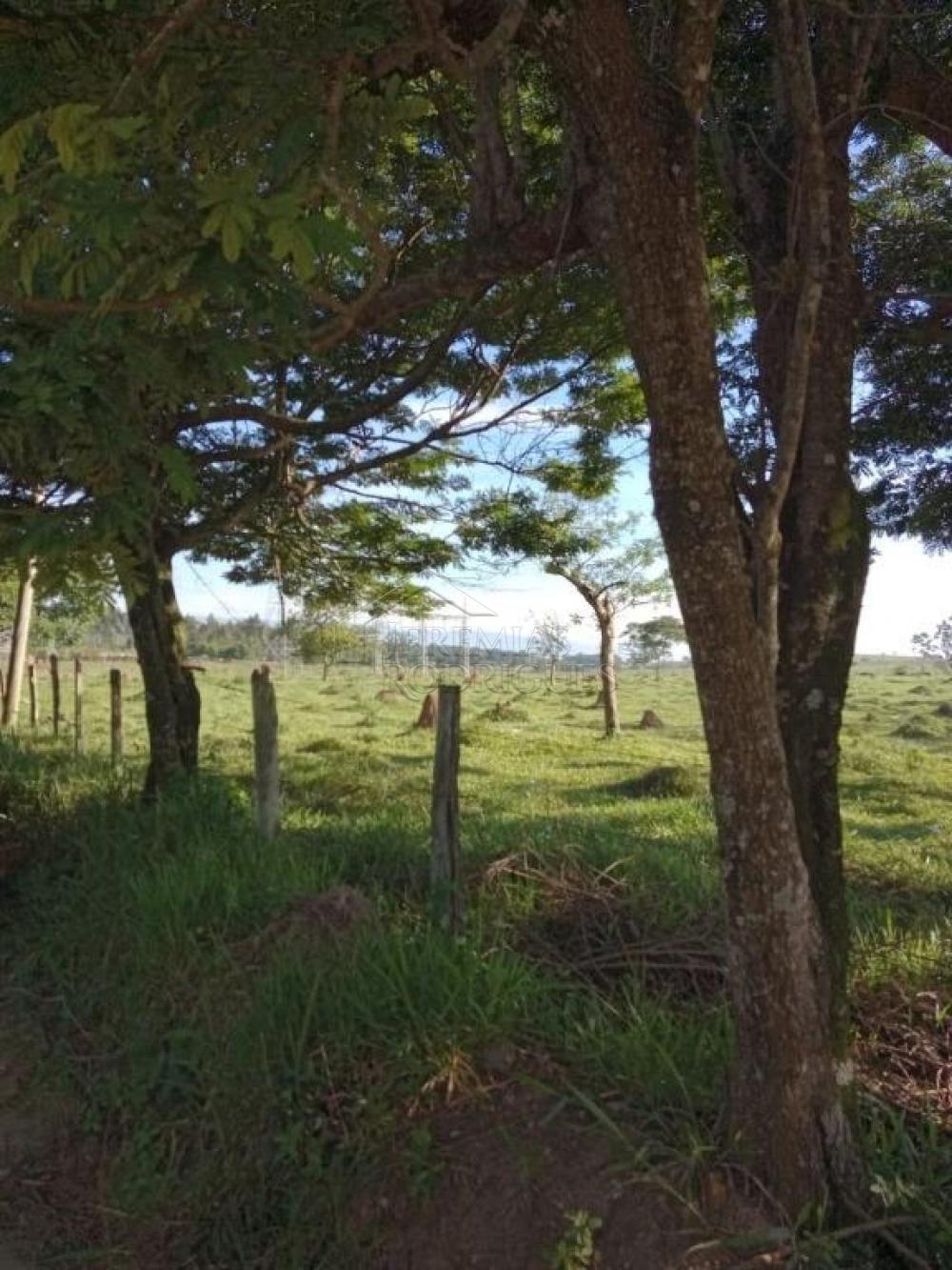 Comprar Terreno / Padr&atilde;o em Pindamonhangaba R$ 32.000.000,00 - Foto 2