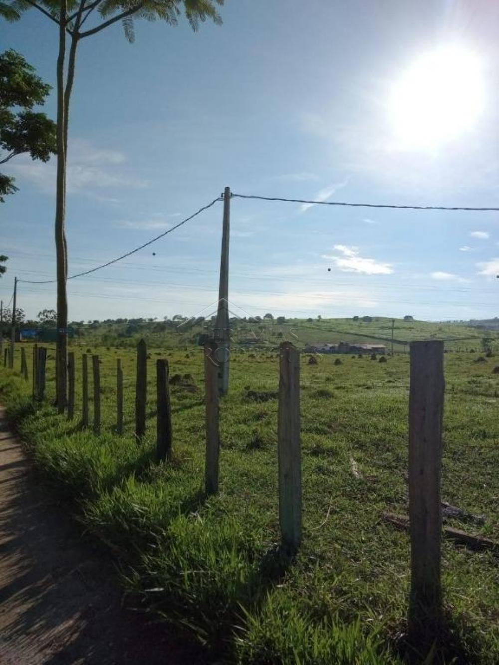 Comprar Terreno / Padr&atilde;o em Pindamonhangaba R$ 32.000.000,00 - Foto 4