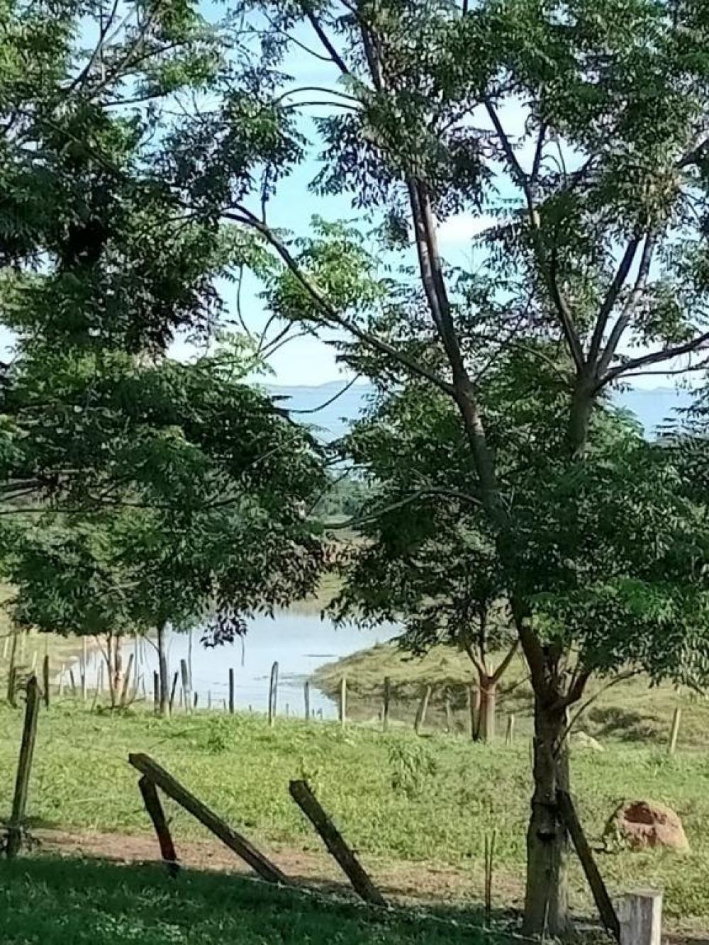 Comprar Terreno / Padr&atilde;o em Pindamonhangaba R$ 32.000.000,00 - Foto 5