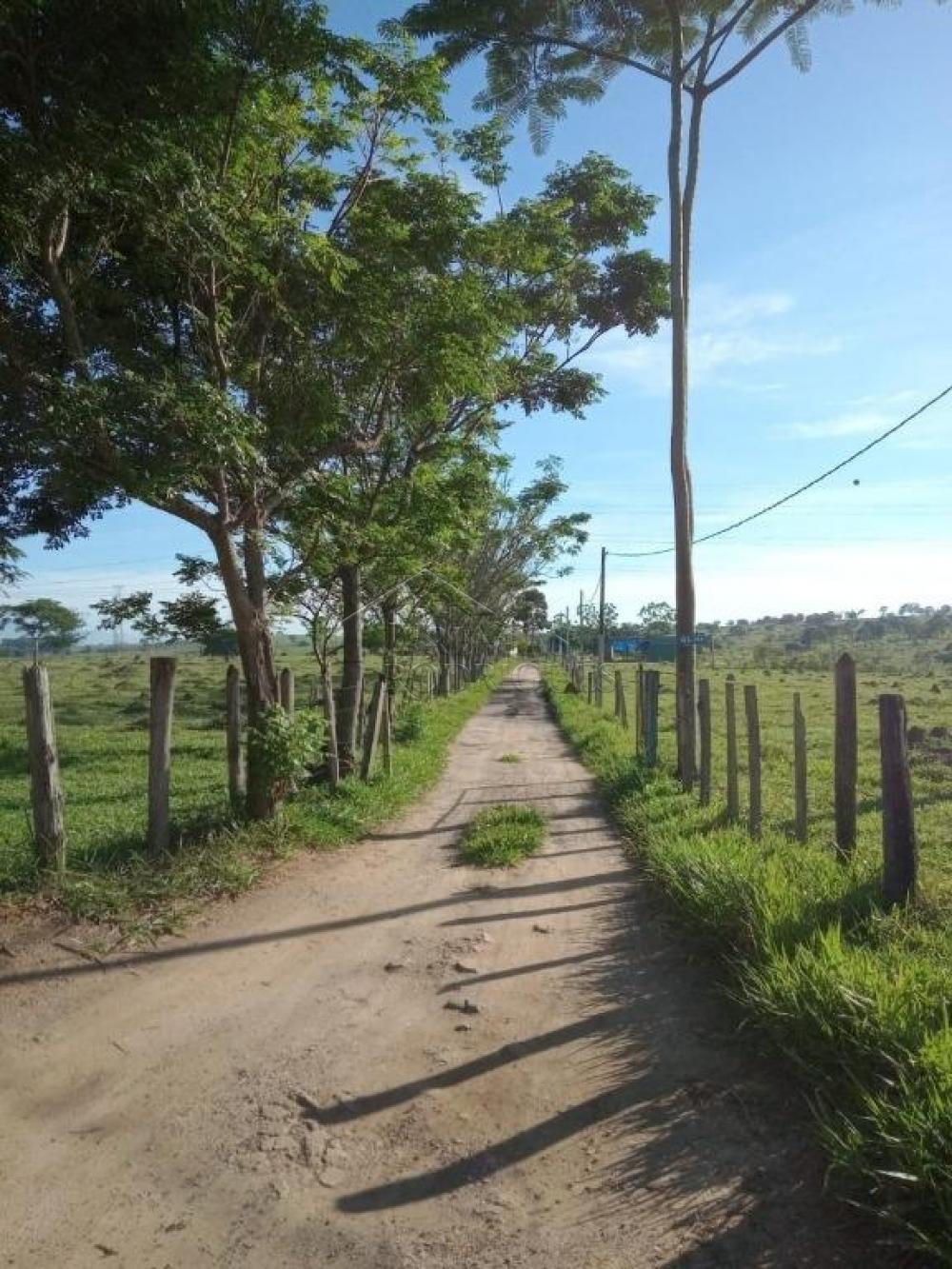 Comprar Terreno / Padr&atilde;o em Pindamonhangaba R$ 32.000.000,00 - Foto 6