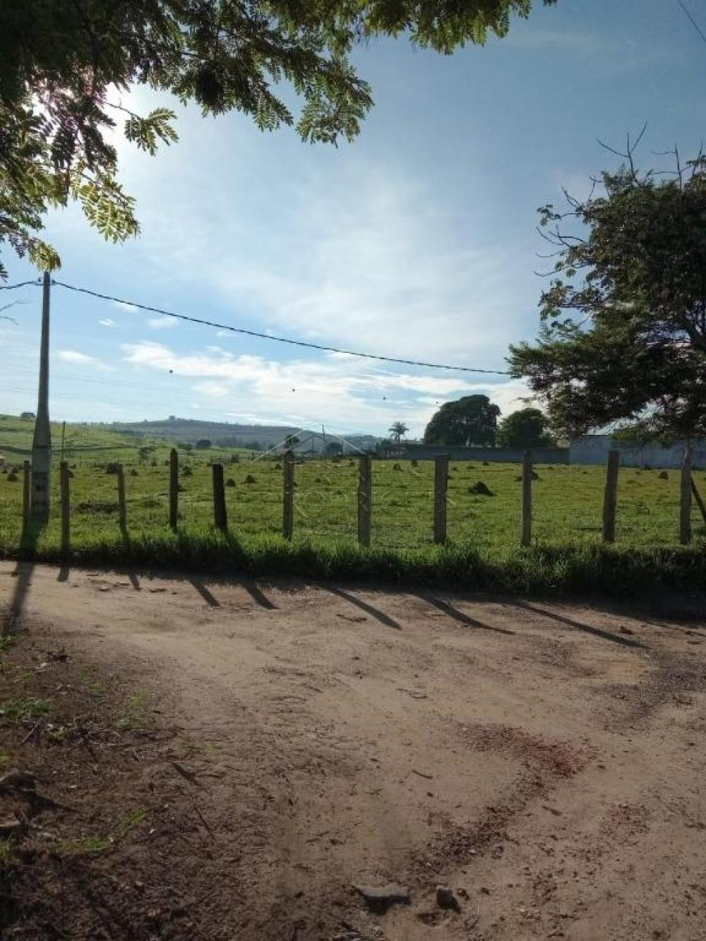 Comprar Terreno / Padr&atilde;o em Pindamonhangaba R$ 32.000.000,00 - Foto 7