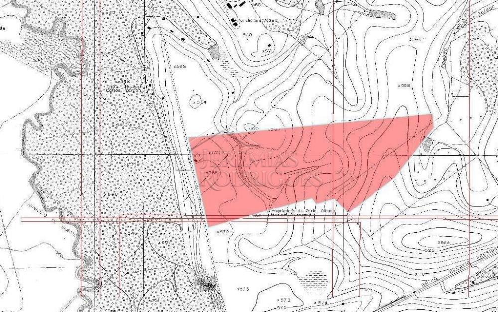 Comprar Terreno / Padr&atilde;o em Pindamonhangaba R$ 32.000.000,00 - Foto 8