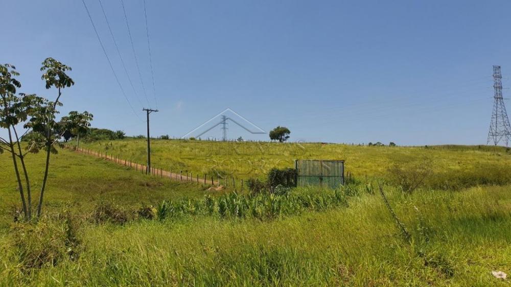 Comprar Terreno / Padr&atilde;o em Pindamonhangaba R$ 3.600.000,00 - Foto 8