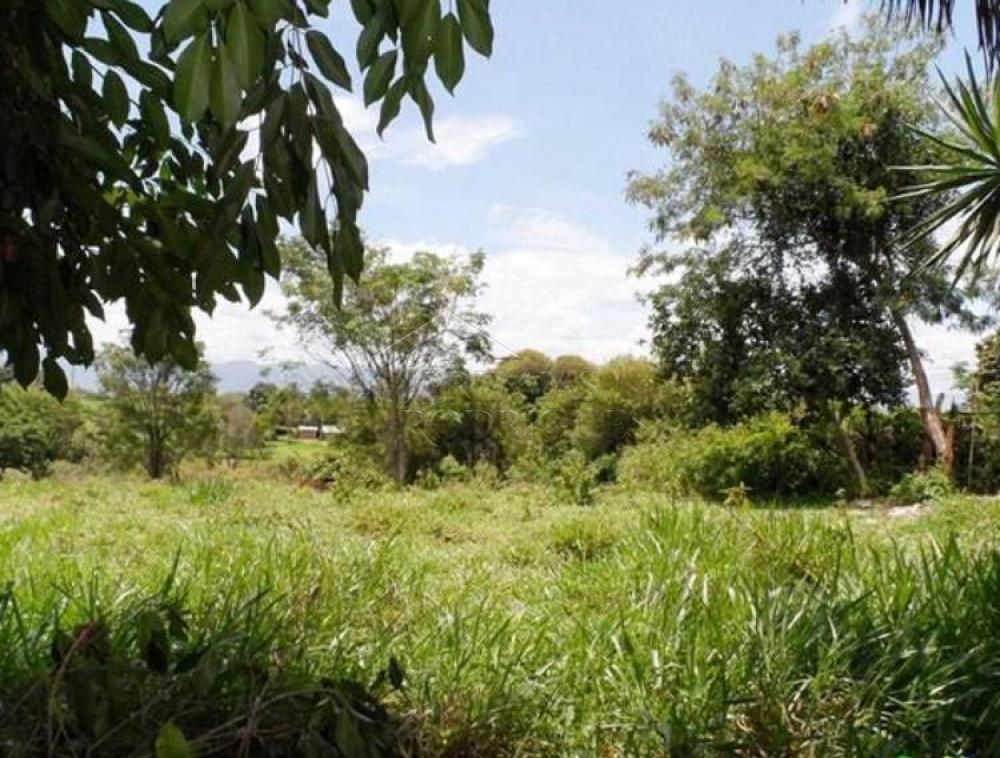 Comprar Terreno / Padr&atilde;o em Pindamonhangaba R$ 600.000,00 - Foto 1