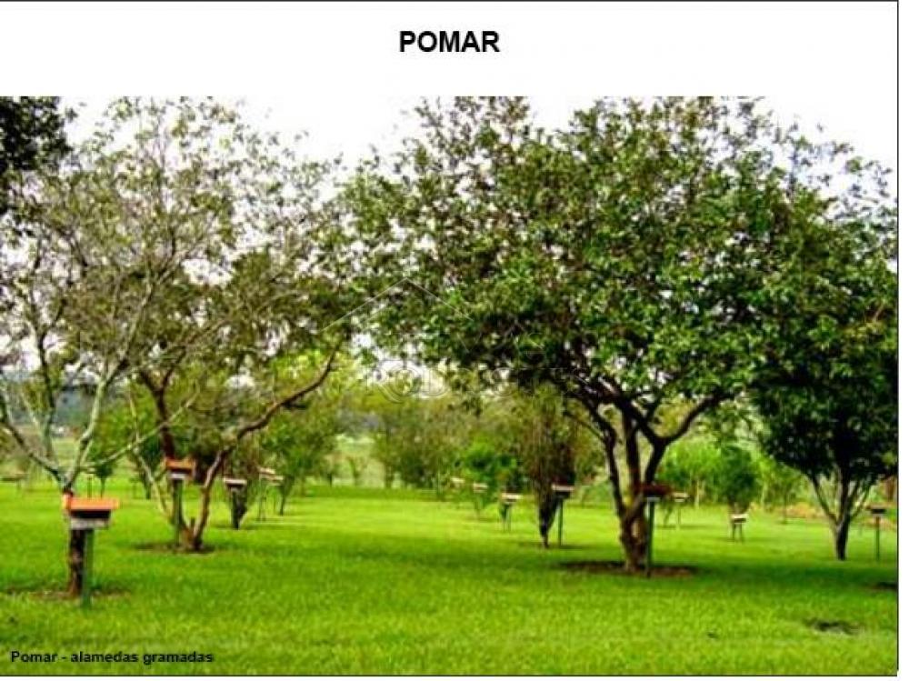 Comprar Rural / Fazenda em Cachoeira Paulista R$ 8.700.000,00 - Foto 8