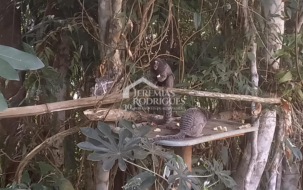 Comprar Casa / Padr&atilde;o em Taubat&eacute; R$ 675.000,00 - Foto 22