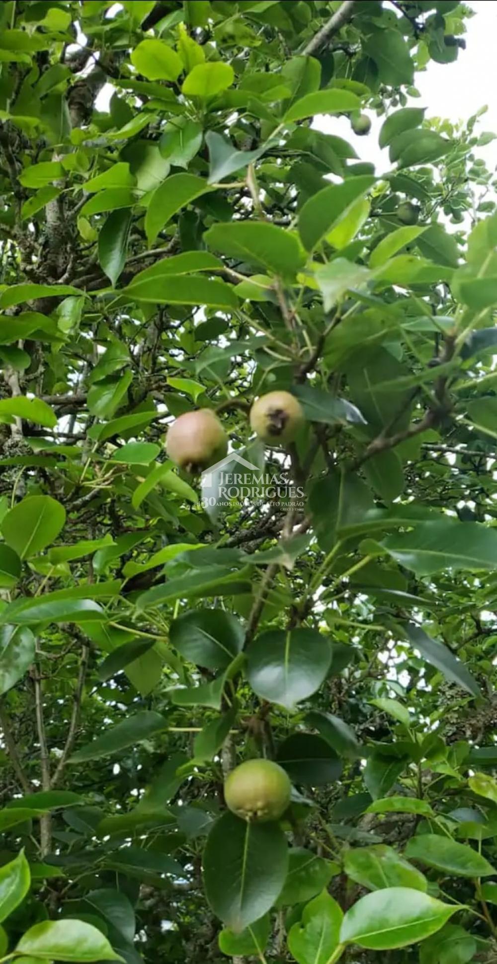 Comprar Casa / Condom&iacute;nio em Campos do Jord&atilde;o R$ 830.000,00 - Foto 18